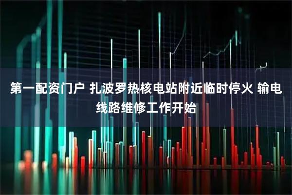第一配资门户 扎波罗热核电站附近临时停火 输电线路维修工作开始